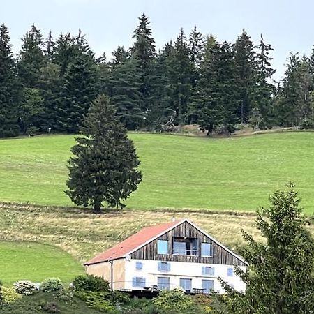 Maison D'Hotes Des Hauts De La Piquante Pierre Basse-sur-le-Rupt ภายนอก รูปภาพ